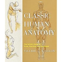 91eAYBa20jL._AC_UL210_SR210,