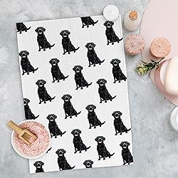 Yorhifa Black Labrador Retriever Dog Kitchen Dish