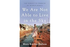 We Are Not Able to Live in the Sky: The Seductive Promise of Microfinance
