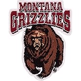 Desert Cactus University of Montana Patch – Embroidered Iron On/Sew On Applique for Blazers, Jackets, Backpacks, Bags, Hats & Tactical Gear – Montana Grizzlies (Patch - Design A)