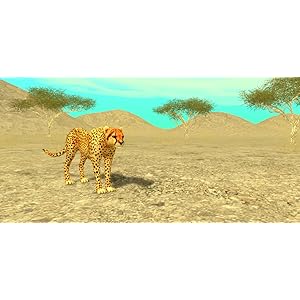 Wild Cheetah Sim 3d -