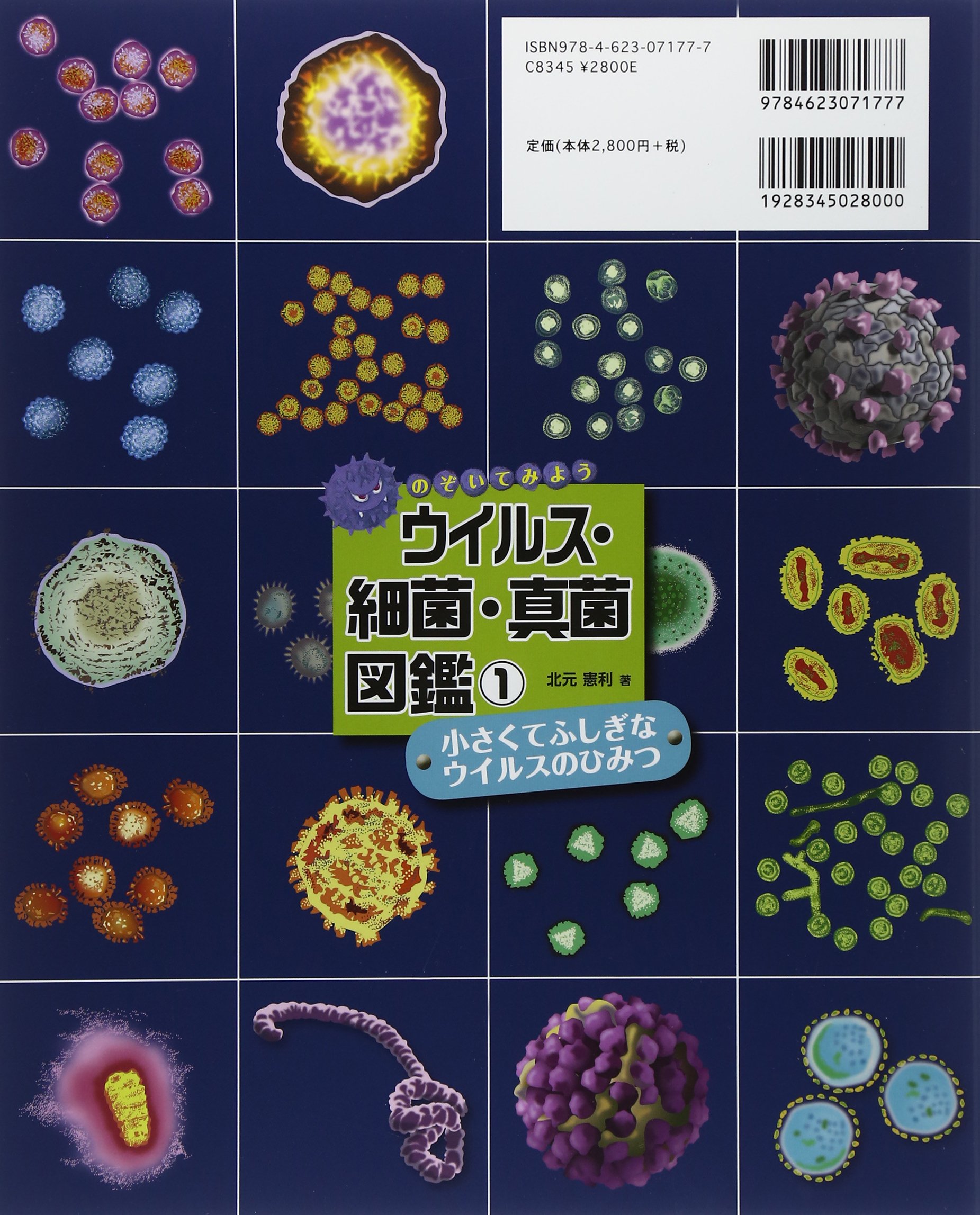 小さくてふしぎな ウイルスのひみつ のぞいてみよう ウイルス 細菌 真菌 図鑑 北元 憲利 本 通販 Amazon