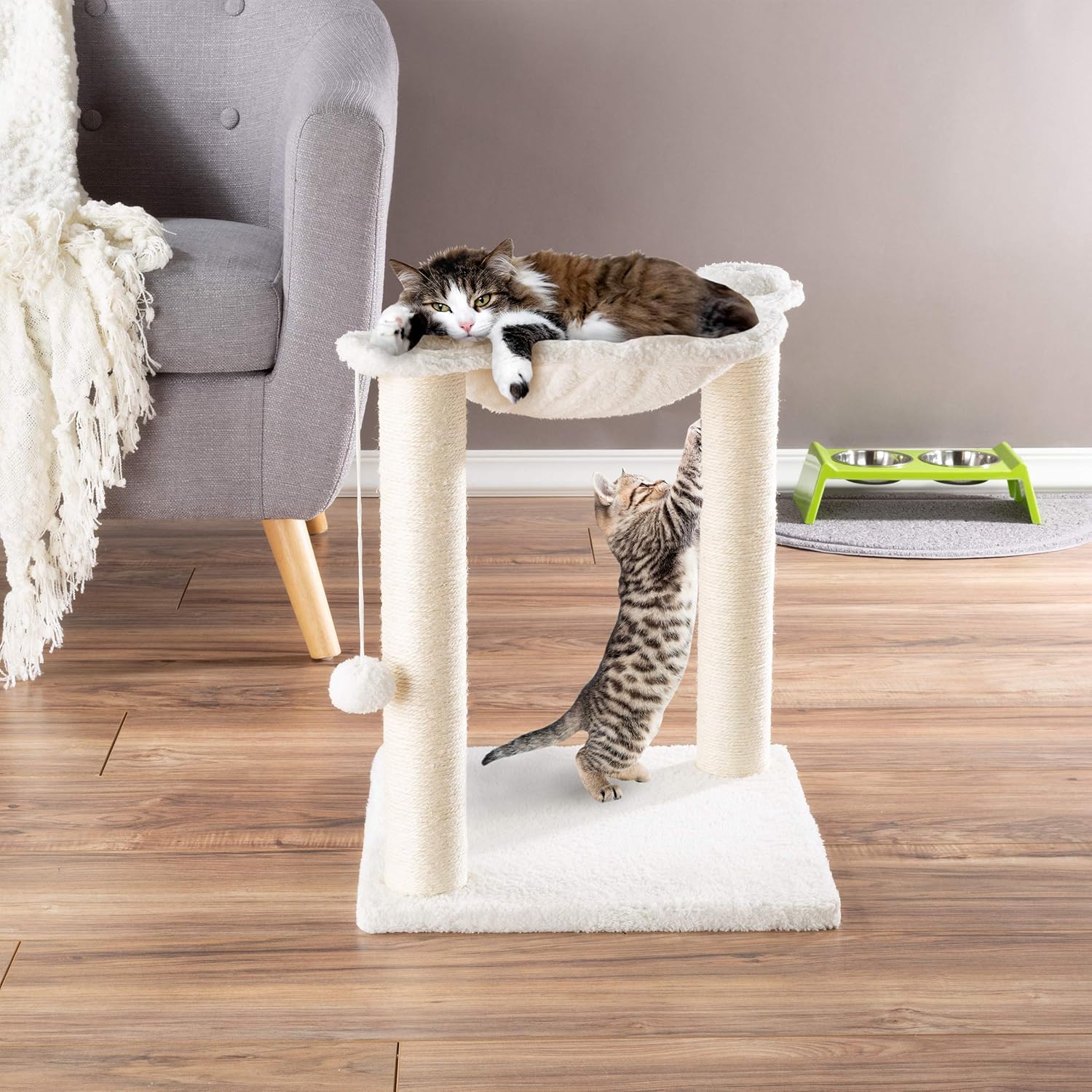 Best Cat Hammock Scratching Post