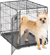 MidWest Homes for Pets 24-Inch iCrate Folding Dog Crate with Divider Panel