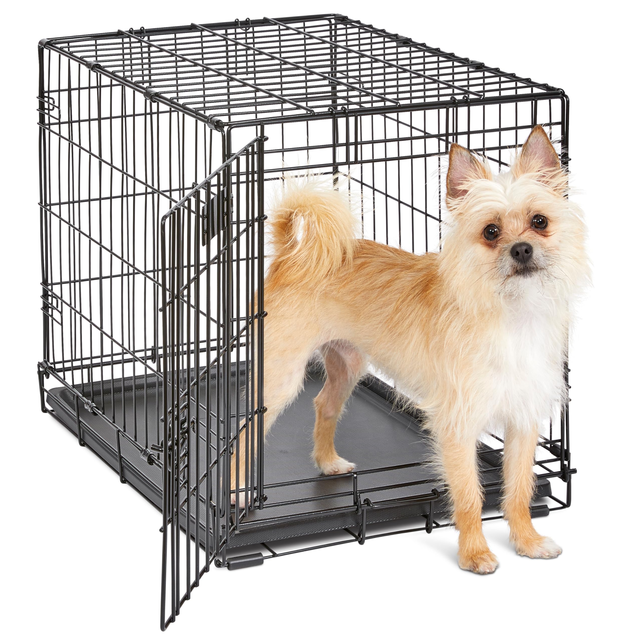 MidWest Homes for Pets 24-Inch iCrate for Small Breeds, 12-20 lbs, Single Door Folding Dog Crate with Divider Panel, Leak-Proof Tray & Secure Latch, Portable, Durable & Easy to Assemble