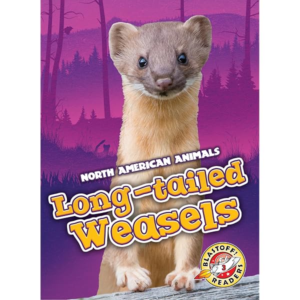 Amazon.com: NATURE: The Mighty Weasel : n/a, Hannah Ward: Movies & TV