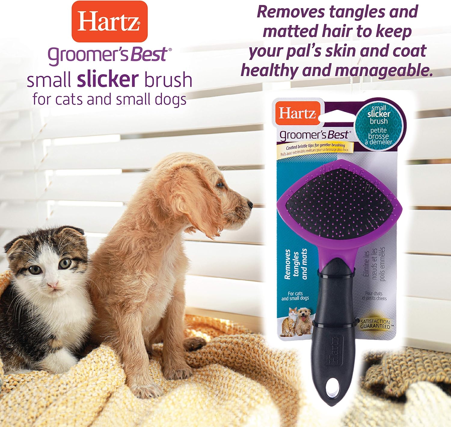 HARTZ, Groomer's Best Small Slicker Brush for Cats and Small Dogs, Black/Violet, 1 Count : Pet Brushes : Pet Supplies