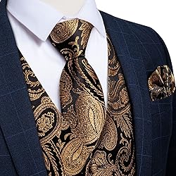 DiBanGu Mens Vest and Tie Set Formal Paisley