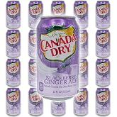 Blackberry Ginger Ale Bundle - Includes 20 Blackberry Ginger Ale cans of 12 oz each by Canada dry Ginger Ale - Ginger Ale Soda Bundle by Despensa Colombiana (Pack of 20 Cans of Blackberry Ginger Ale, 12 Fl Oz each)