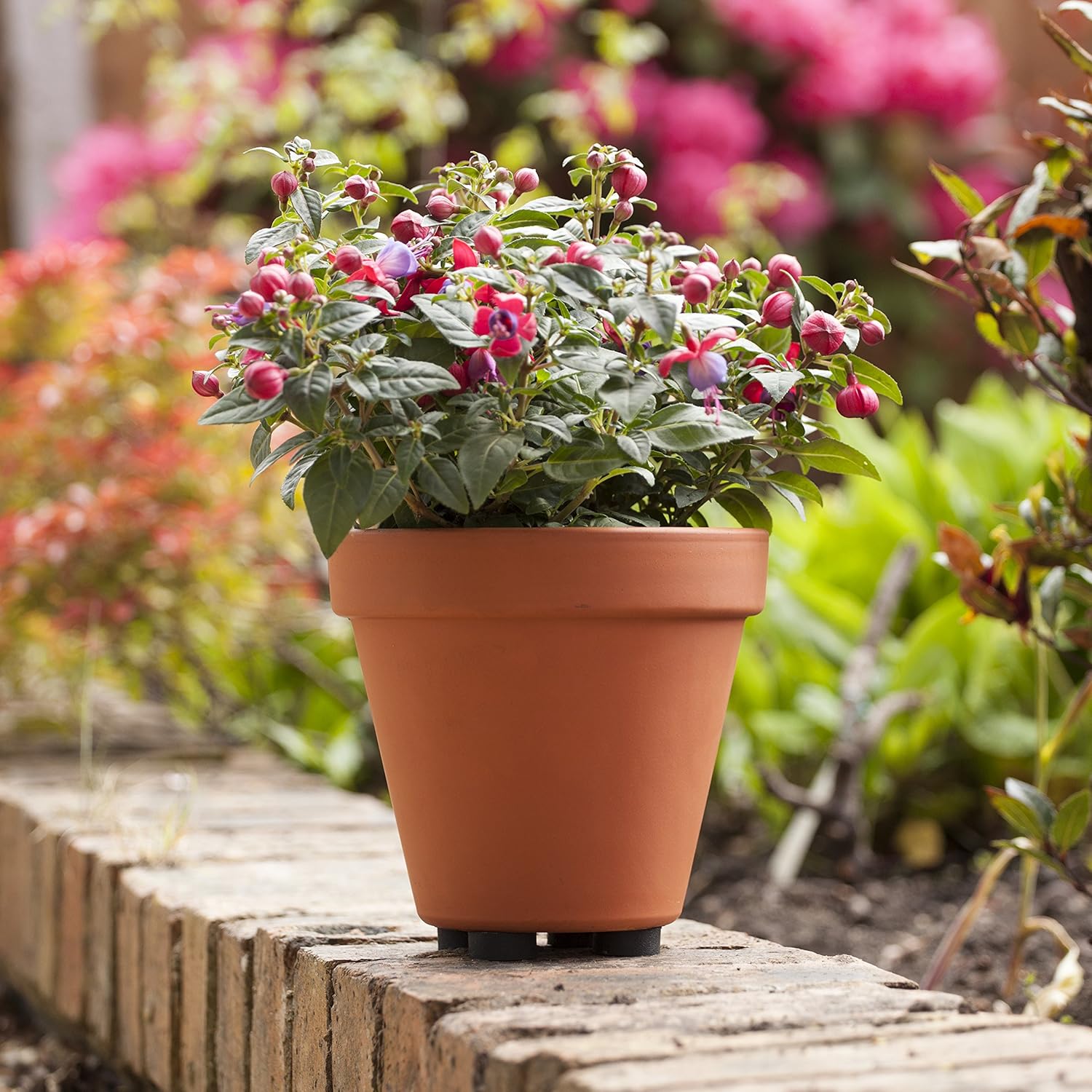 Katai 20 Pack Plant Pot Risers. Non-slip Flower Pot Feet for Indoor and Outdoor Use Complete with 2 Garden Plant Ties - Image 4