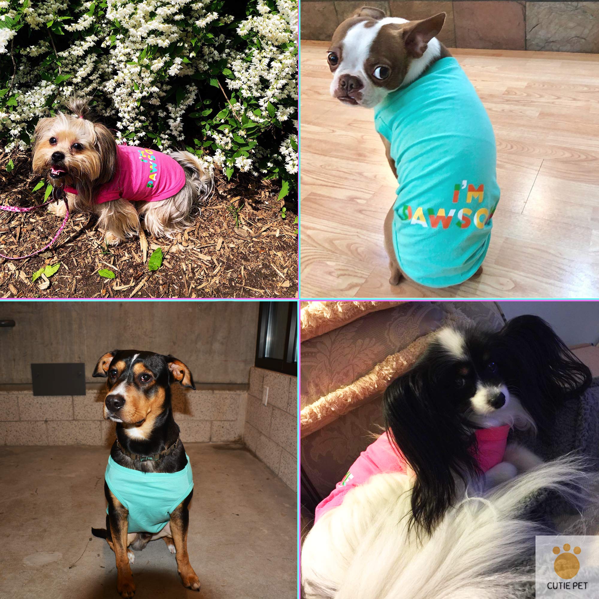 Cutie Pet Dog Clothes Dog Shirts I\'m Pawsome 100% Cotton Comfortable and Breathable for Small Medium Large Pets