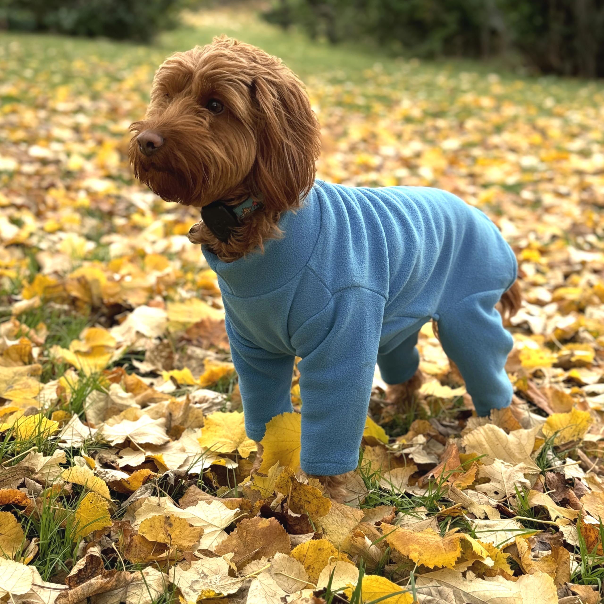 Warm Four-Legged Dog Fleece – Super Soft, Weather-Resistant (Teal, Large)