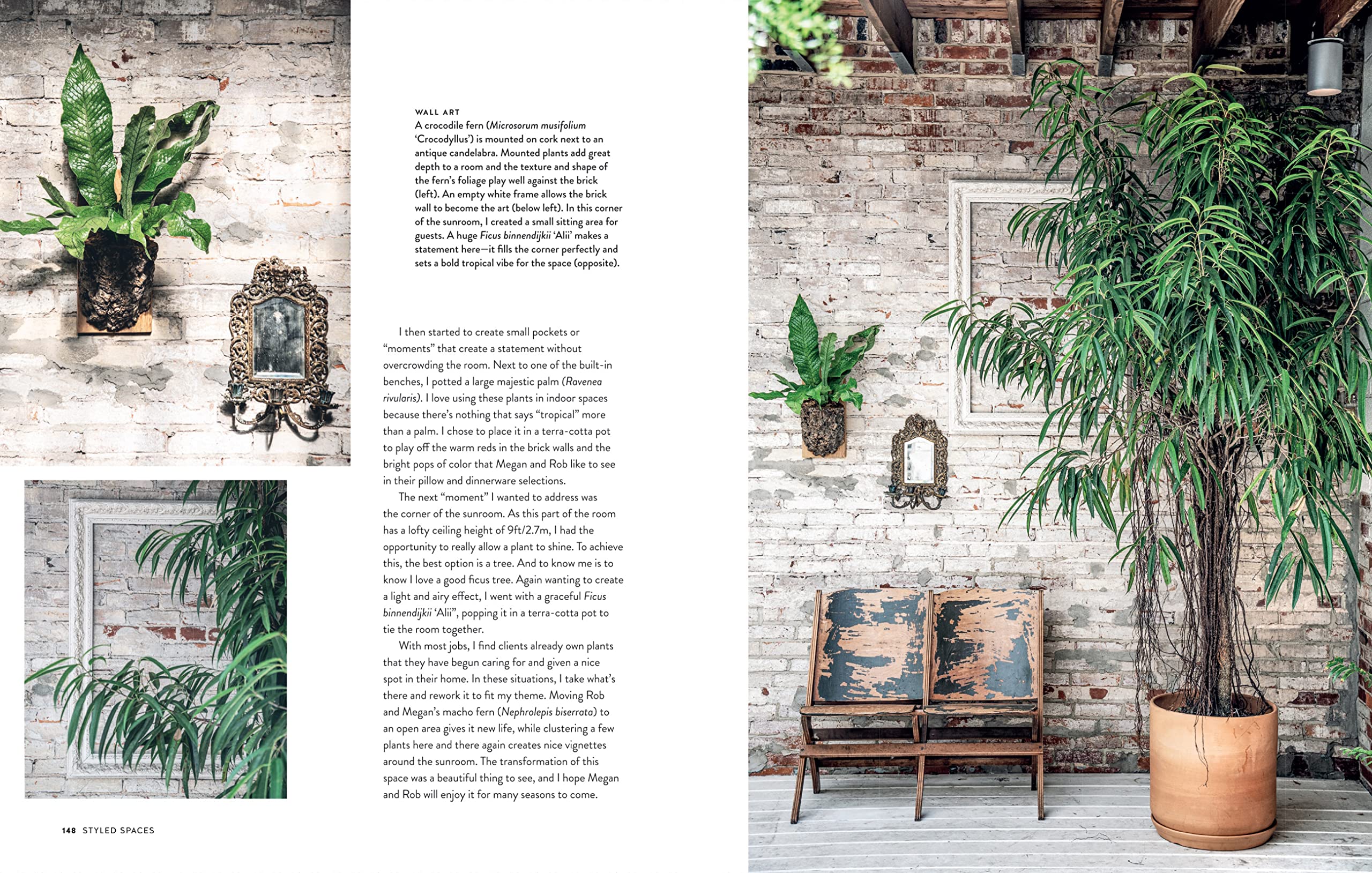 Living Wild: How to plant style your home and cultivate happiness Living Wild: How to plant style your home and cultivate happiness Hardcover