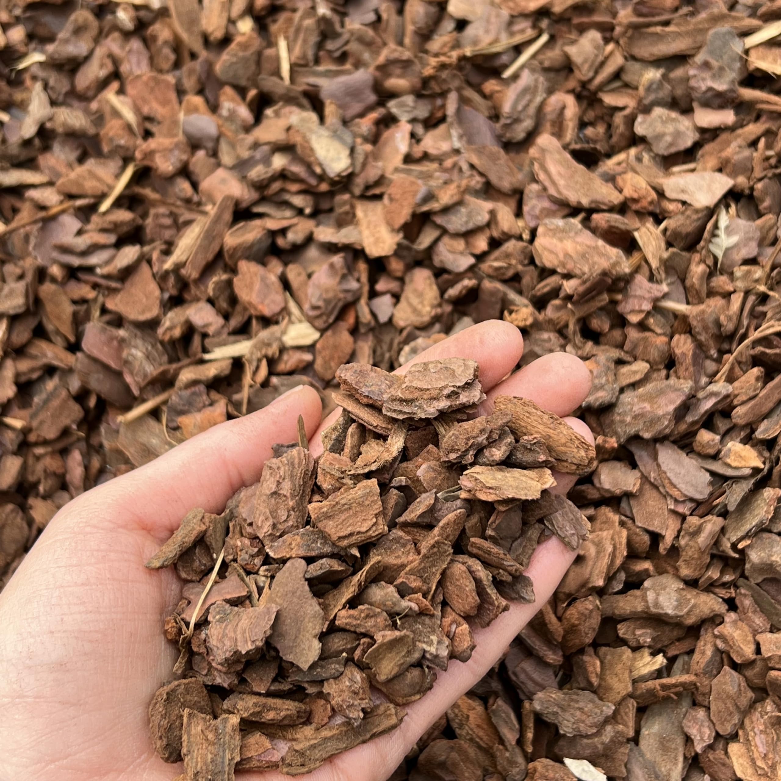 Premium Orchid Bark Substrate - Fine Grade, 8-15mm, Repotting Bark Soil Compost Mix (1L) — image 1