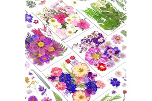 VIGNEE 140+Pcs Real Dried Pressed Flowers Leaves Petals for Crafts-Beautiful Pressed Flowers Daisies for Resin Jewellery, Pressed Flowers Nail Pendant Crafts Making Craft DIY Accessories with 1pcs Tweezers