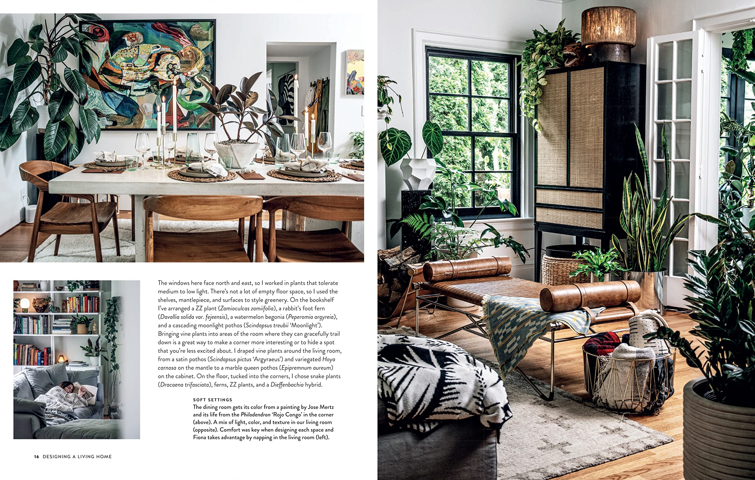 Living Wild: How to plant style your home and cultivate happiness Living Wild: How to plant style your home and cultivate happiness Hardcover