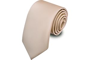 Branduce 3.15"（8cm） Men's Solid Color Formal Woven Necktie + Gift Box