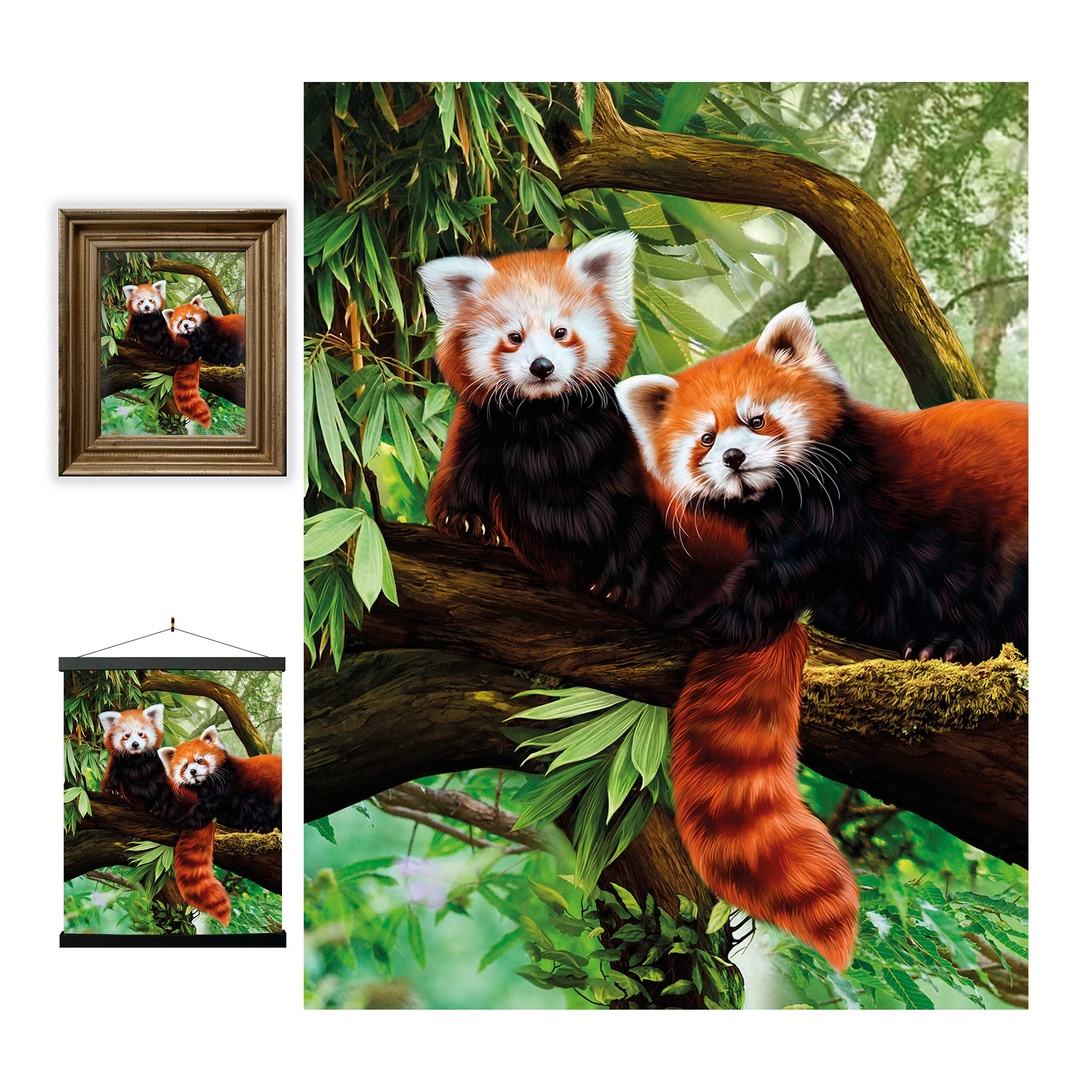 3D LiveLife Lenticular Wall Art Prints - Red Pandas from Deluxebase. Unframed 3D Wild Animal Poster. A perfect wall filler. Original artwork licensed from renowned artist, Katrina Sokolo