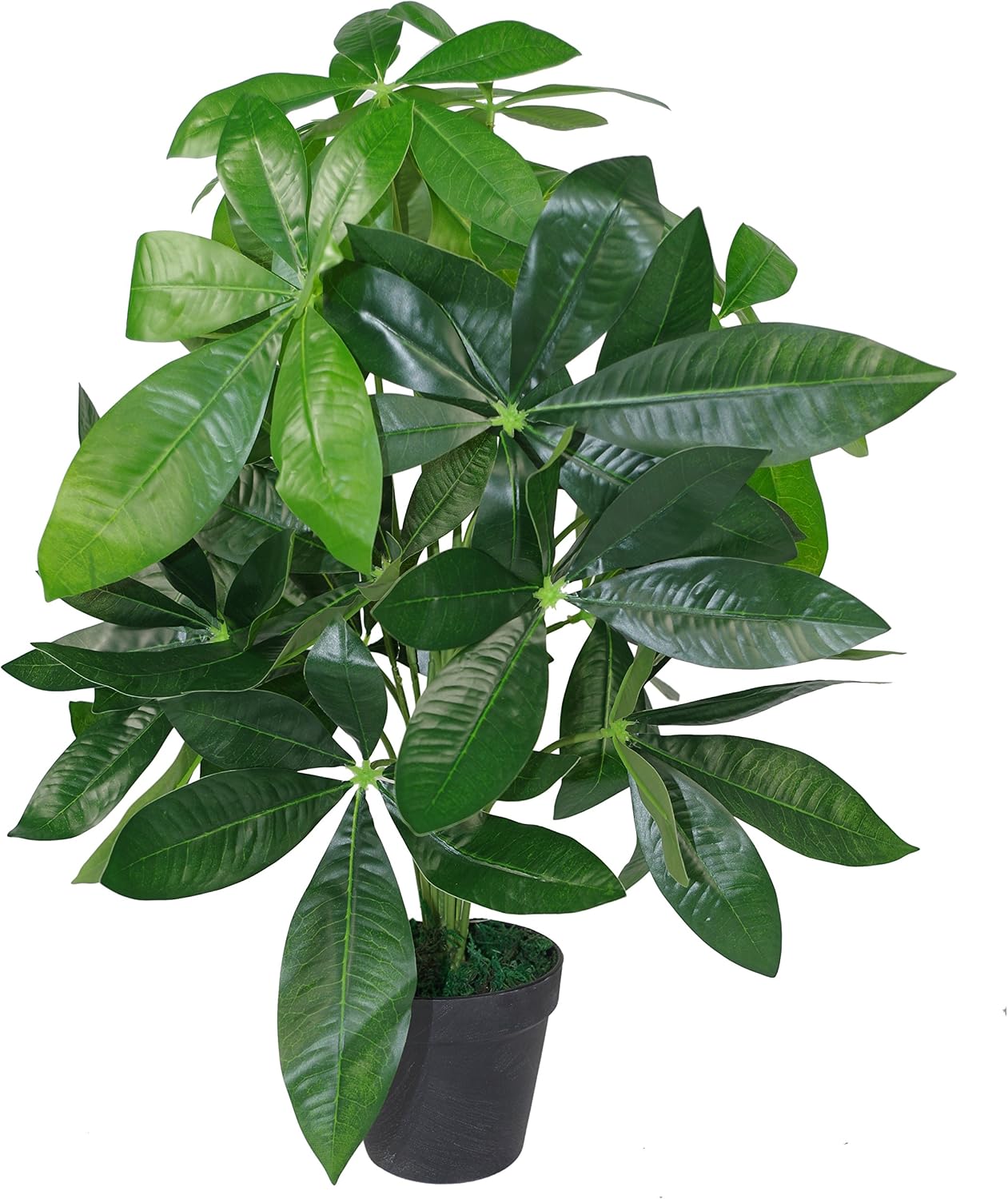 Leaf Design UK Realistic Artificial Foliage Plant with Pot, Green, 50cm