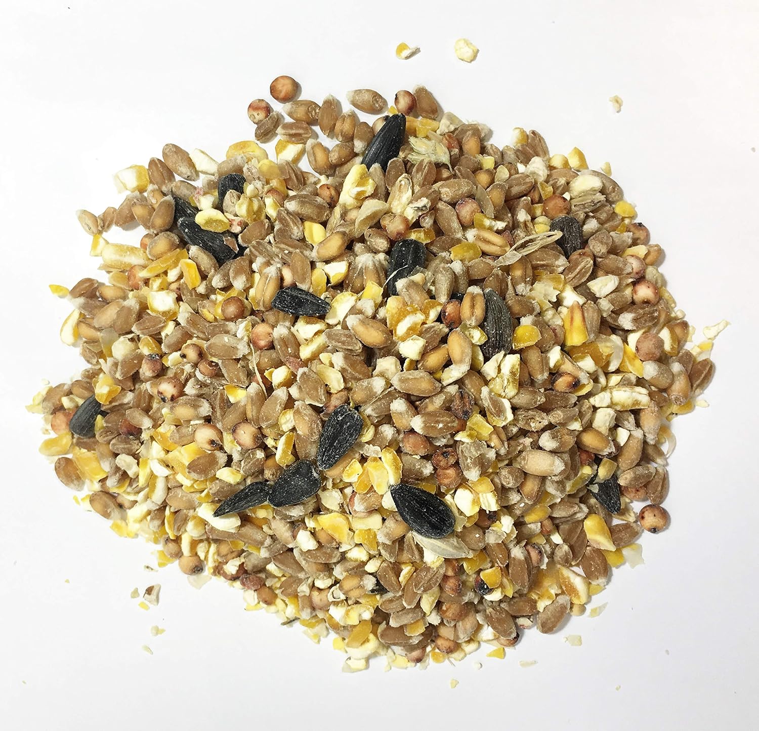 Pet Performance Four Season Wild Bird Seed 25kg, All Year Round Feed With Black Sunflower Seeds for Birds