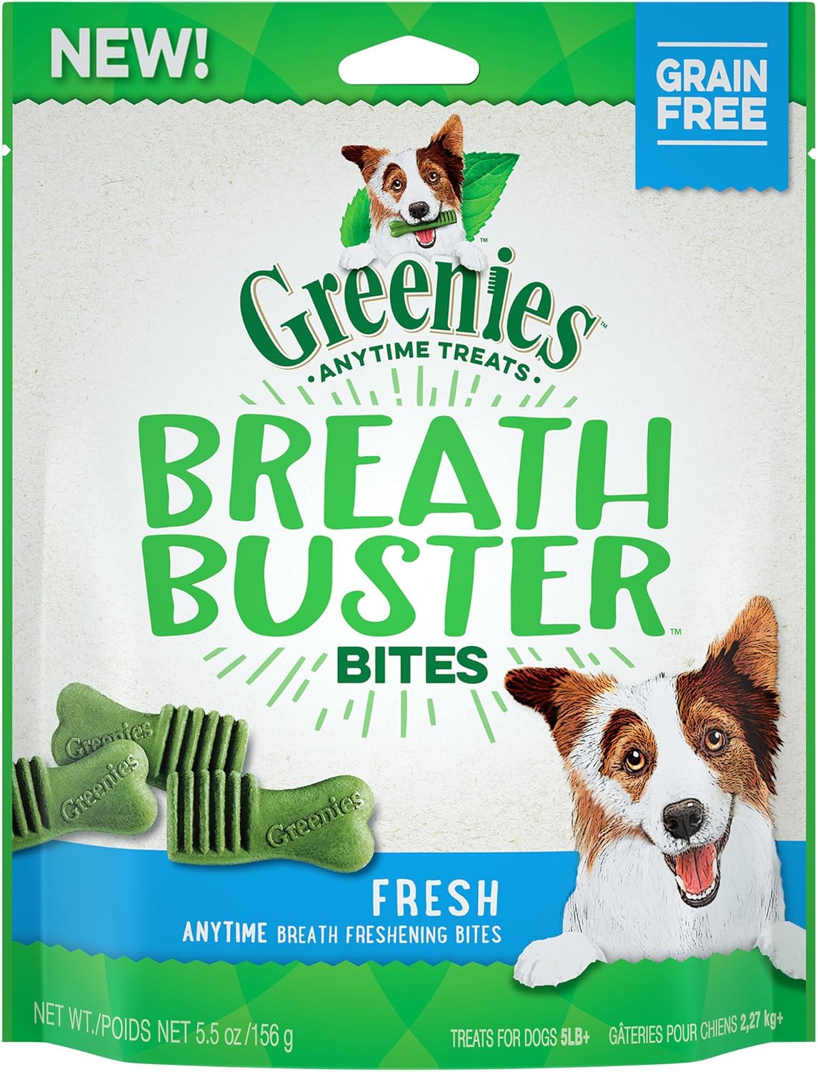 dog door double glazed glass