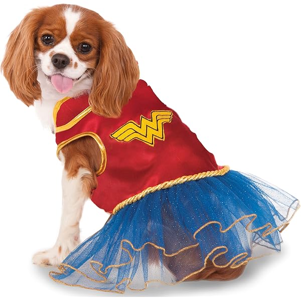 dog superman costume amazon