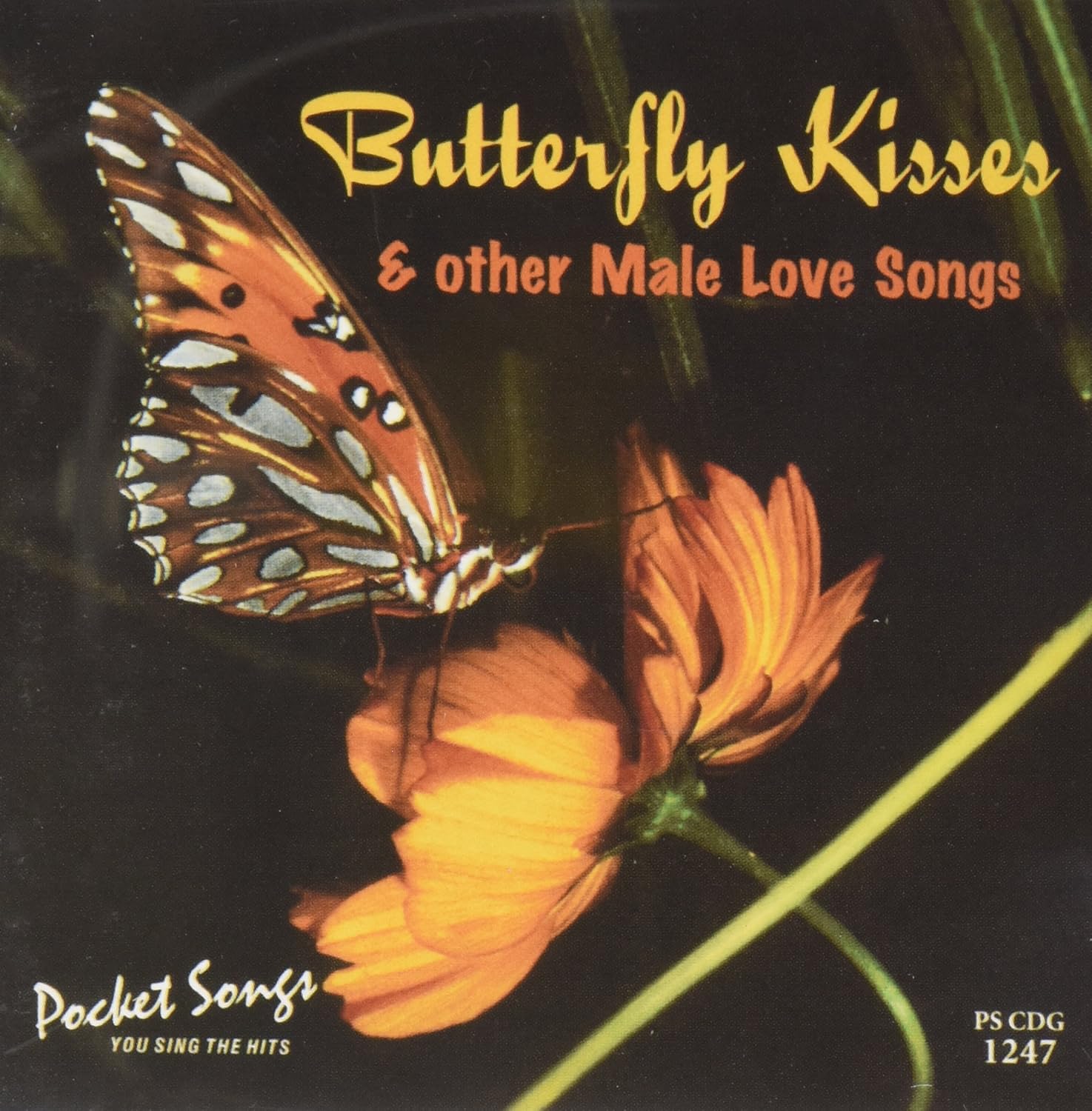 Butterfly Kisses Male Karaoke Butterfly Kisses Male Music