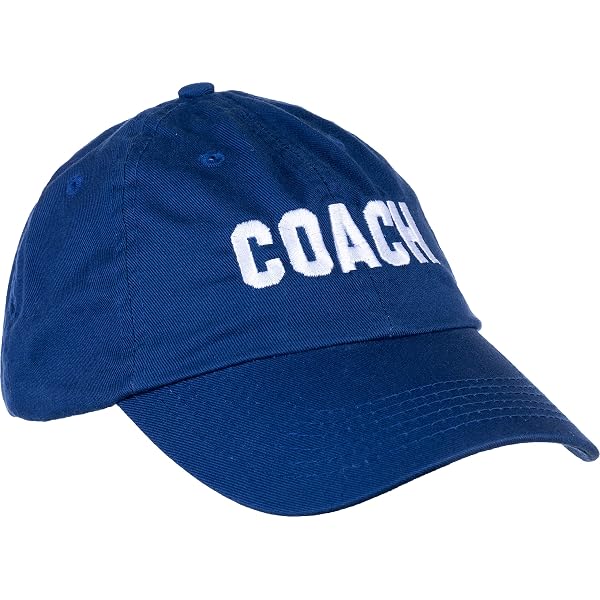 Amazon.com: Ann Arbor T-Shirt Co. Coach | Coaching Baseball  display picture 1
