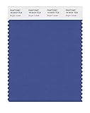 PANTONE Smart 19-4037X Color Swatch Card, Bright