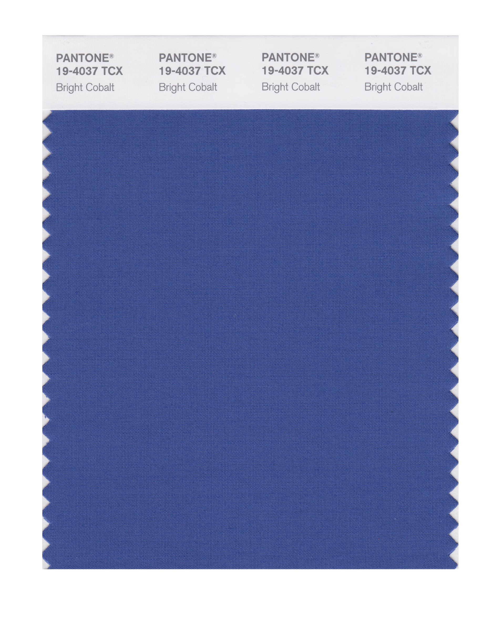 PANTONE Smart 19-4037X Color Swatch Card, Bright