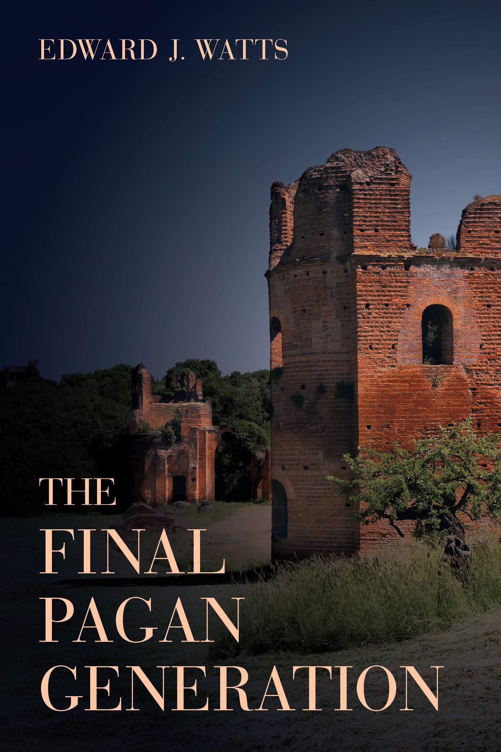 The Final Pagan Generation Rome S Unexpected Path To Christianity Volume 53 Transformation Of The Classical Heritage Watts Edward J Amazon Com Books
