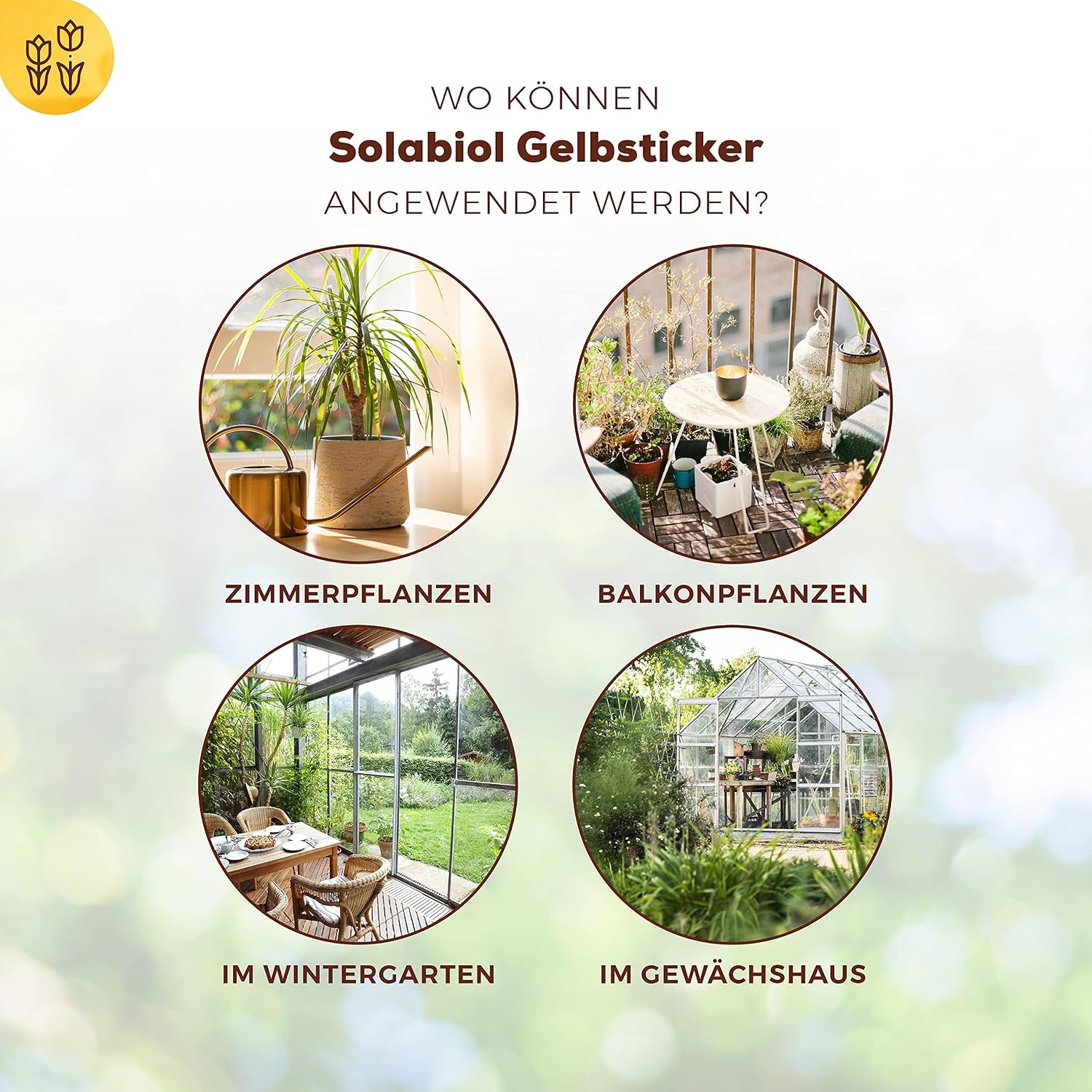 Solabiol Yellow Stickers Insect Repellent with Special Adhesive without Insecticides, Against Mosquitoes, White Flies - Image 4