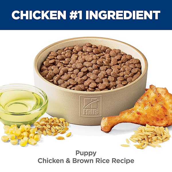 HILL’S SCIENCE DIET PUPPY, PUPPY PREMIUM NUTRITION, DRY DOG FOOD, CHICKEN & BROWN RICE, 15.5 LB BAG