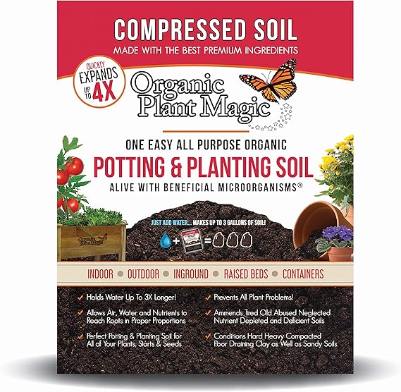 Where Does Pepper Grow - Soil Where Does Pepper Grow - Soil