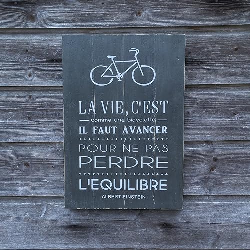 cahier citation einstein la vie est comme une bicyclette