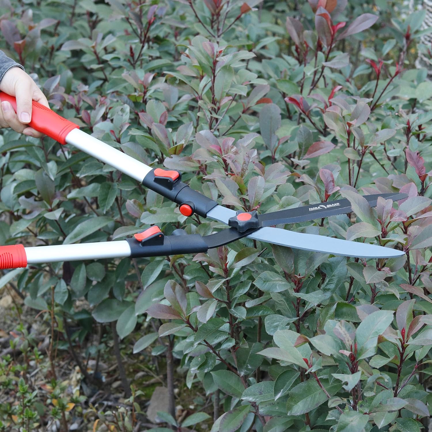 FLORA GUARD 26 Inch Professional Extensible Hedge Shears with 9 Inch Blade : Garden & Outdoor