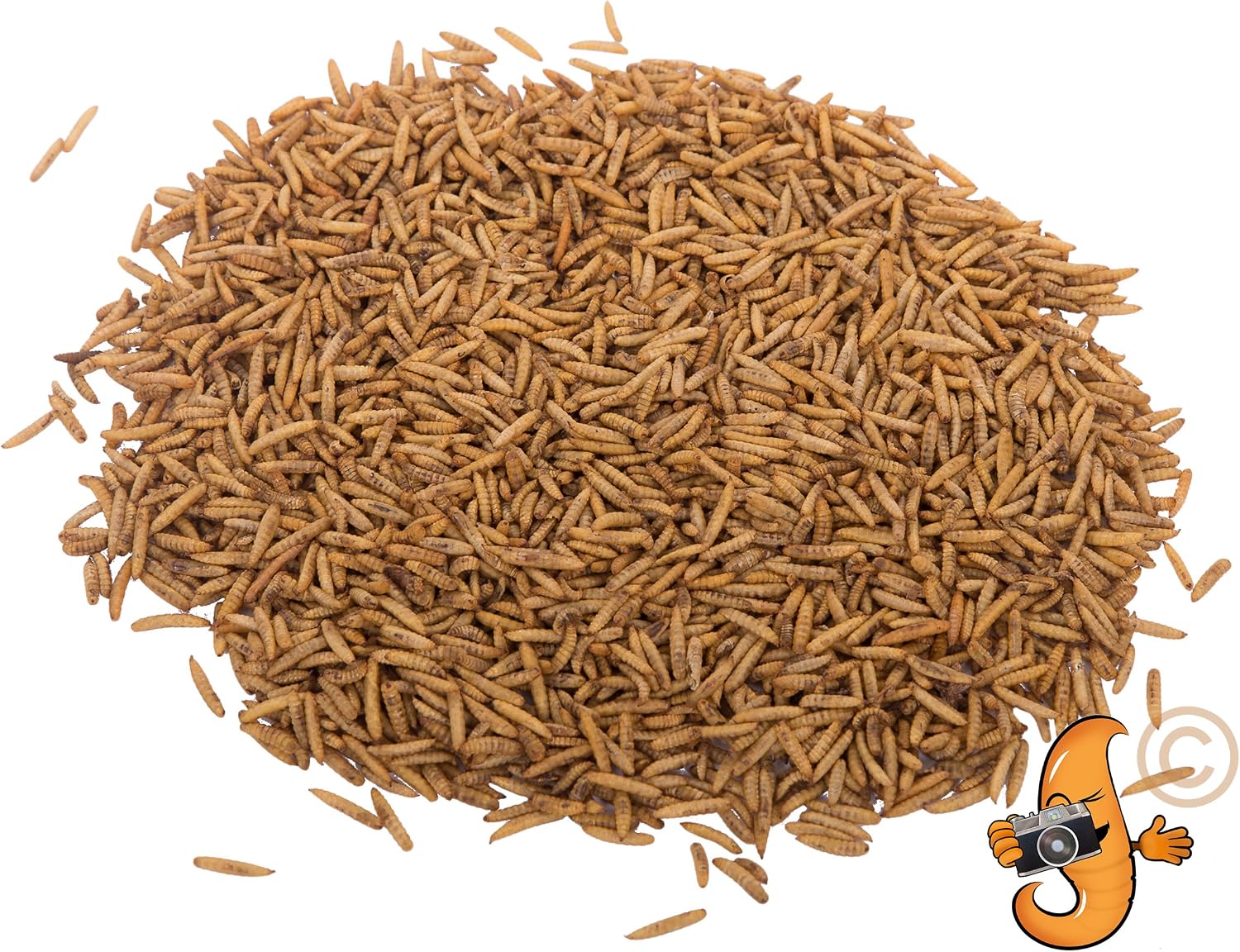 Chubby Mealworms Dried Calci Worms for Hedgehog (1 Litre), Calciworms Treats with More Calcium than Meal Worms - Image 4