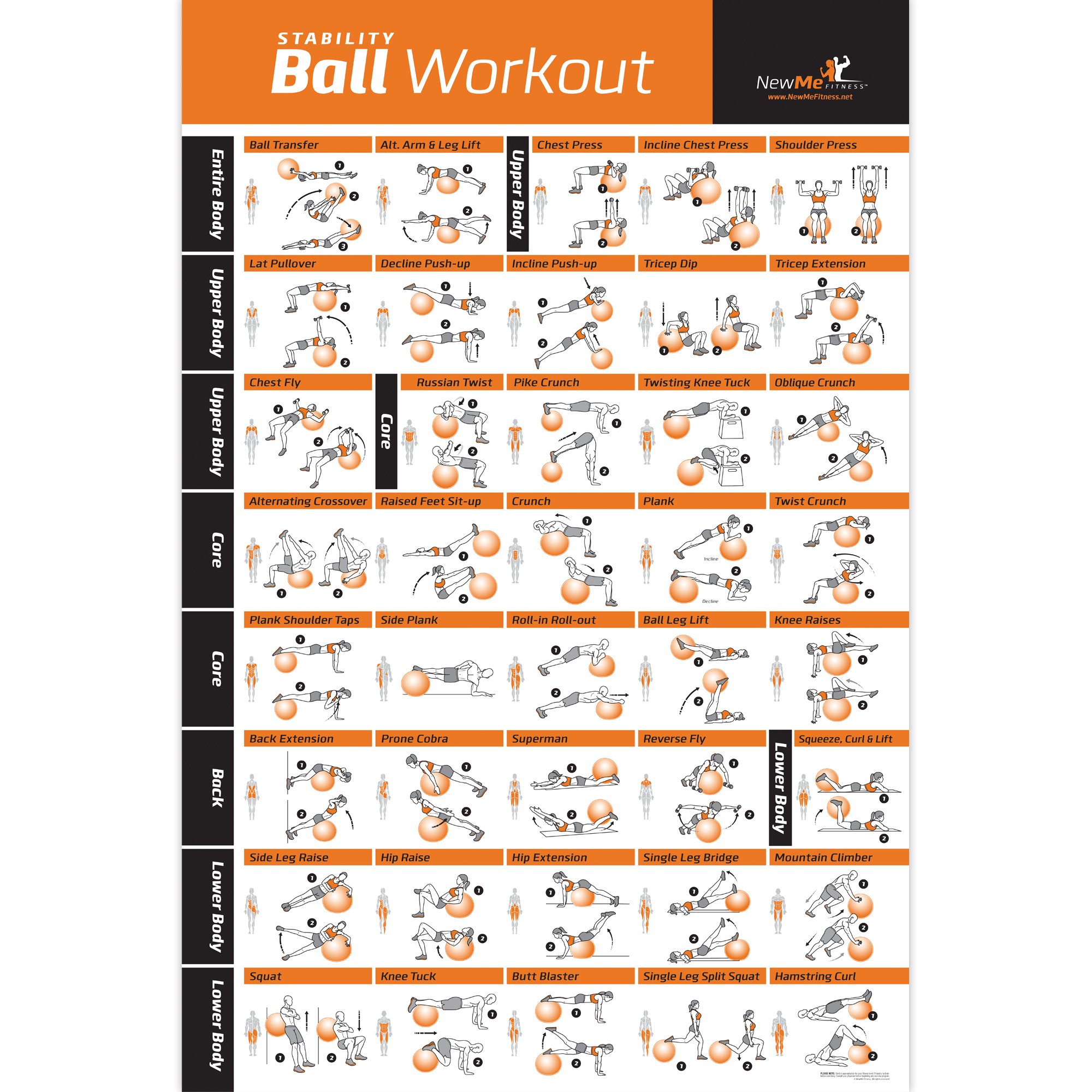 Exercise Ball Poster Laminated Total Body Workout Personal Trainer
