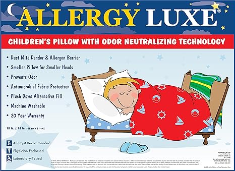 Allergy Luxe R Children S Pillow 18 X 24 Amazon In Home Kitchen