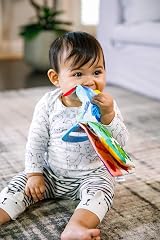 Baby Einstein Curious Explorers Teether Book Take-Along Toy Ages Newborn+ view 5