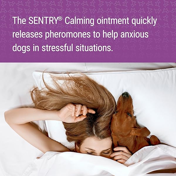 SENTRY CALMING OINTMENT FOR DOGS, FAST-ACTING PHEROMONE SOLUTION TO REDUCE STRESS FOR ANXIOUS DOGS, 1.5 OZ