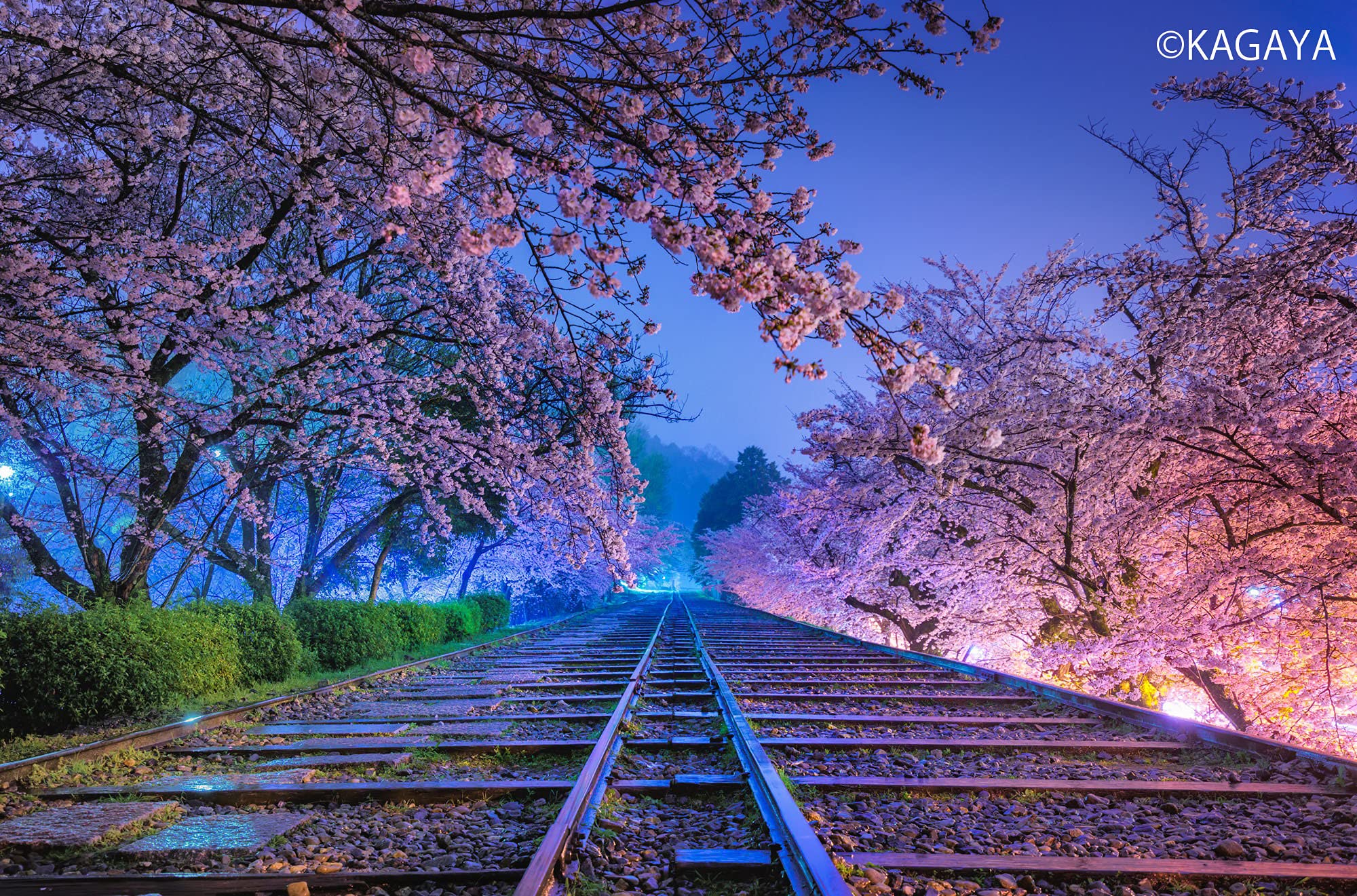 予約特典 サイン本 Starry Nights The Best Of The Best Kagaya 本 通販 Amazon