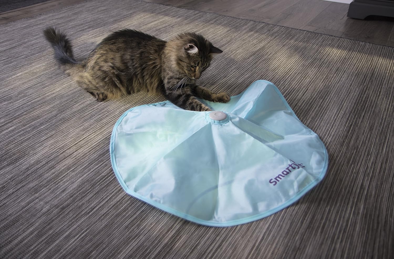 SmartyKat Hot Pursuit Cat Toy Concealed Motion Toy : Pet Supplies