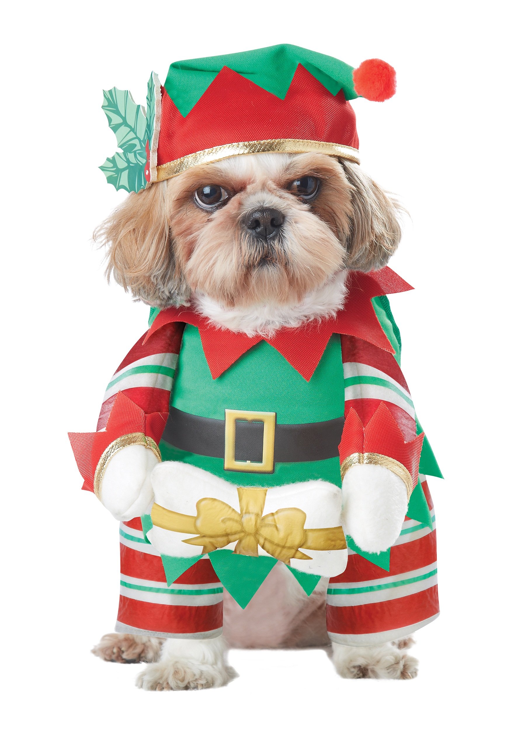 California Costumes Elf Pup Dog Costume - XS