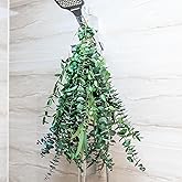 3kinds Natural Eucalyptus Stems Set for Shower Bundle | 12PCS - 17inch Real Eucalyptus Leaves Branches Vase Filler, Dried Flowers Arrangement Home Decor Wedding Decor