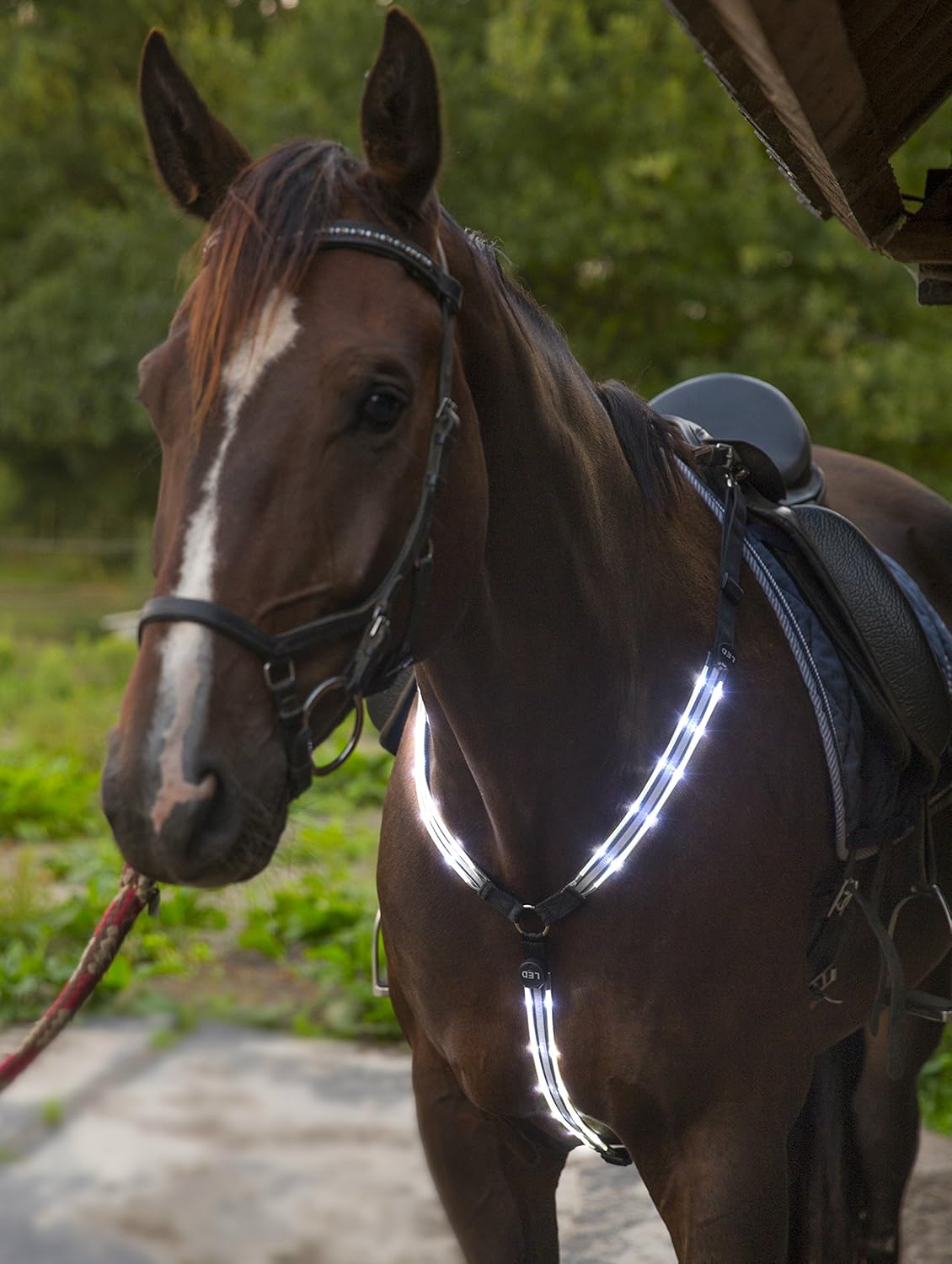 LED Horse Breastplate Collar USB Rechargeable Best High Visibility Tack For Horseback Riding