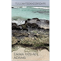 Tulum+Teen+Covid=??!! book cover
