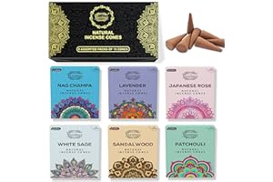 Raajsee Natural Incense Cones,6 Pack Mixed Scents Gift Pack 15 pc Each (90 Total), Insense Cones Variety Pack, 100% Organic Non Toxic Natural - Hand Rolled Free from Chemicals (Pack 1)