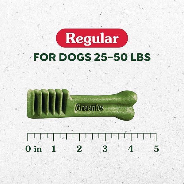 GREENIES VETERINARIAN-RECOMMENDED NATURAL DENTAL DOG TREATS, DENTAL CHEWS FOR DOGS, REGULAR SIZE, BLUEBERRY FLAVOR, 12 OZ. PACK, 12 COUNT