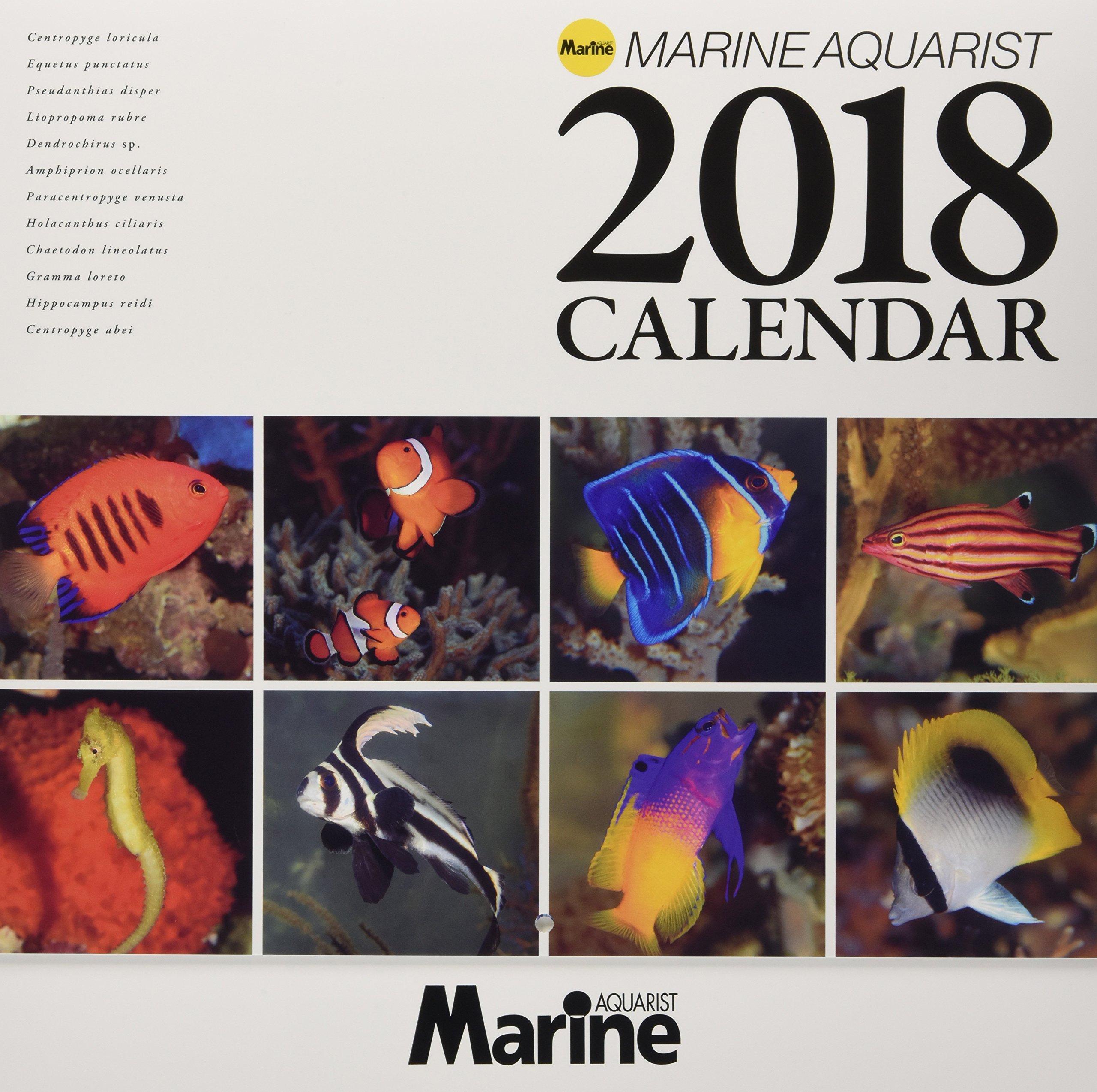 Amazon Co Jp マリンアクアリスト 海水魚カレンダー 18年 本